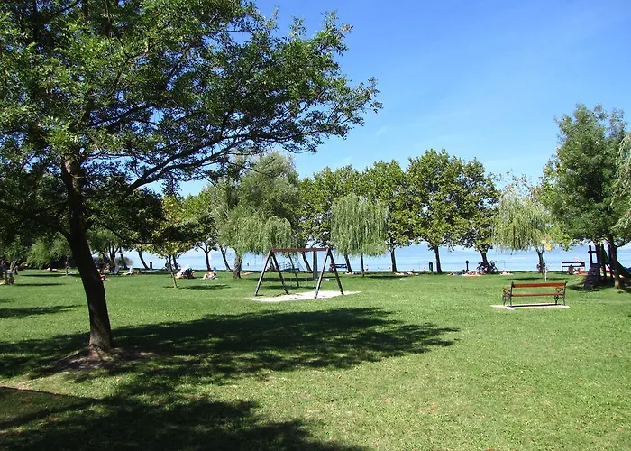 Schmidt بالاتونفينيفيس